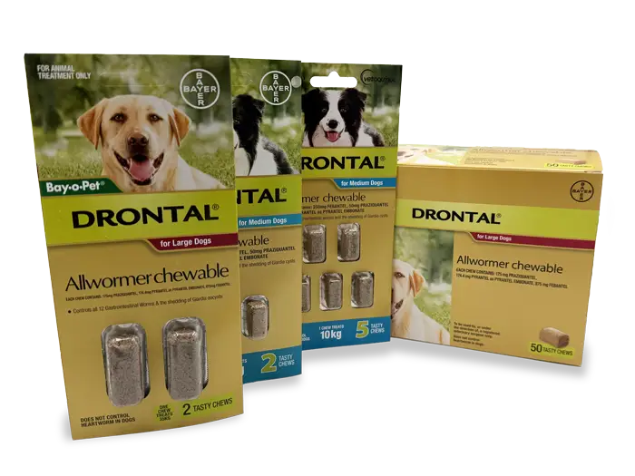 Palatable Chewables Manufacturer